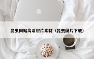 霸州昆虫网站高清照片素材（昆虫图片下载）